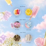 Aurora Mini Candle - Dot Up, Buttercup - Juicy Popsicle, Freshly Cut Wild Blooms + Sunlit Australian Sandalwood